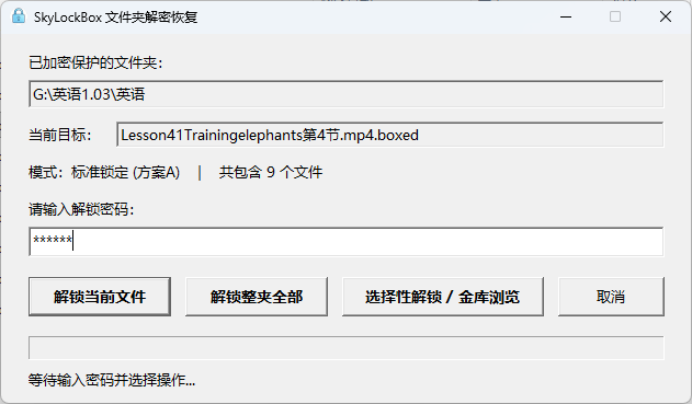 双击任意上锁文件弹出的解锁界面